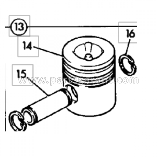 Piston assembly (AA) JCB 3CX