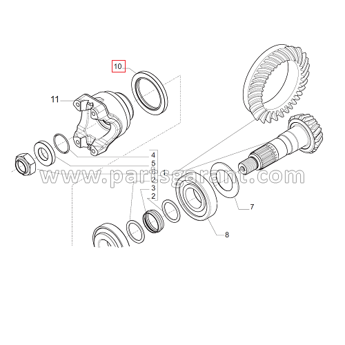 Oil seal