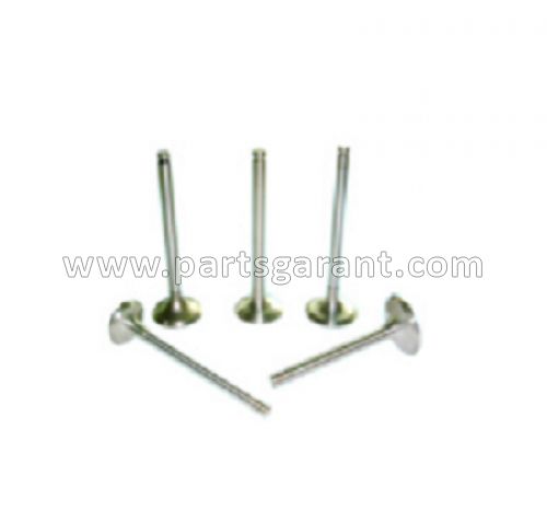 Intake valve Man TGA