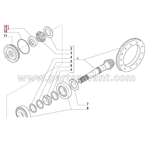 Oil seal