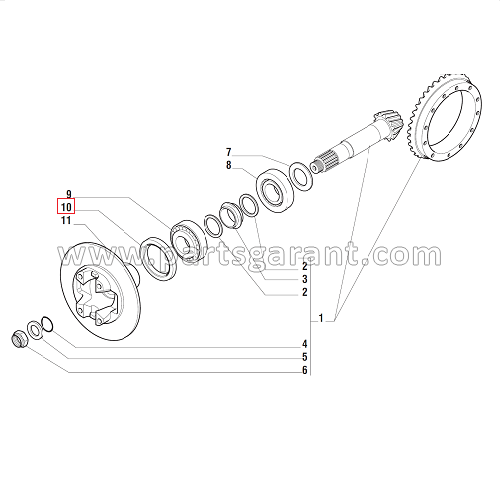 Oil seal