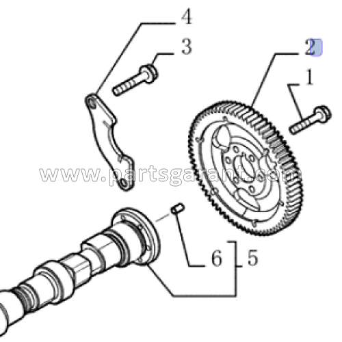 Camshaft gear New Holland E215