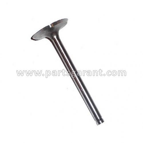 Intake valves Iveco Stralis