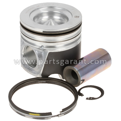 Piston and rings std Case 695ST