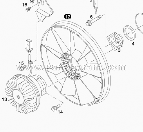 Fan Man Tga