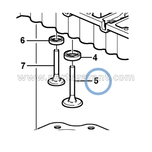 Intake valve Volvo BL61